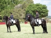 Friso & Hindrik