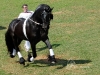 Friso Derby